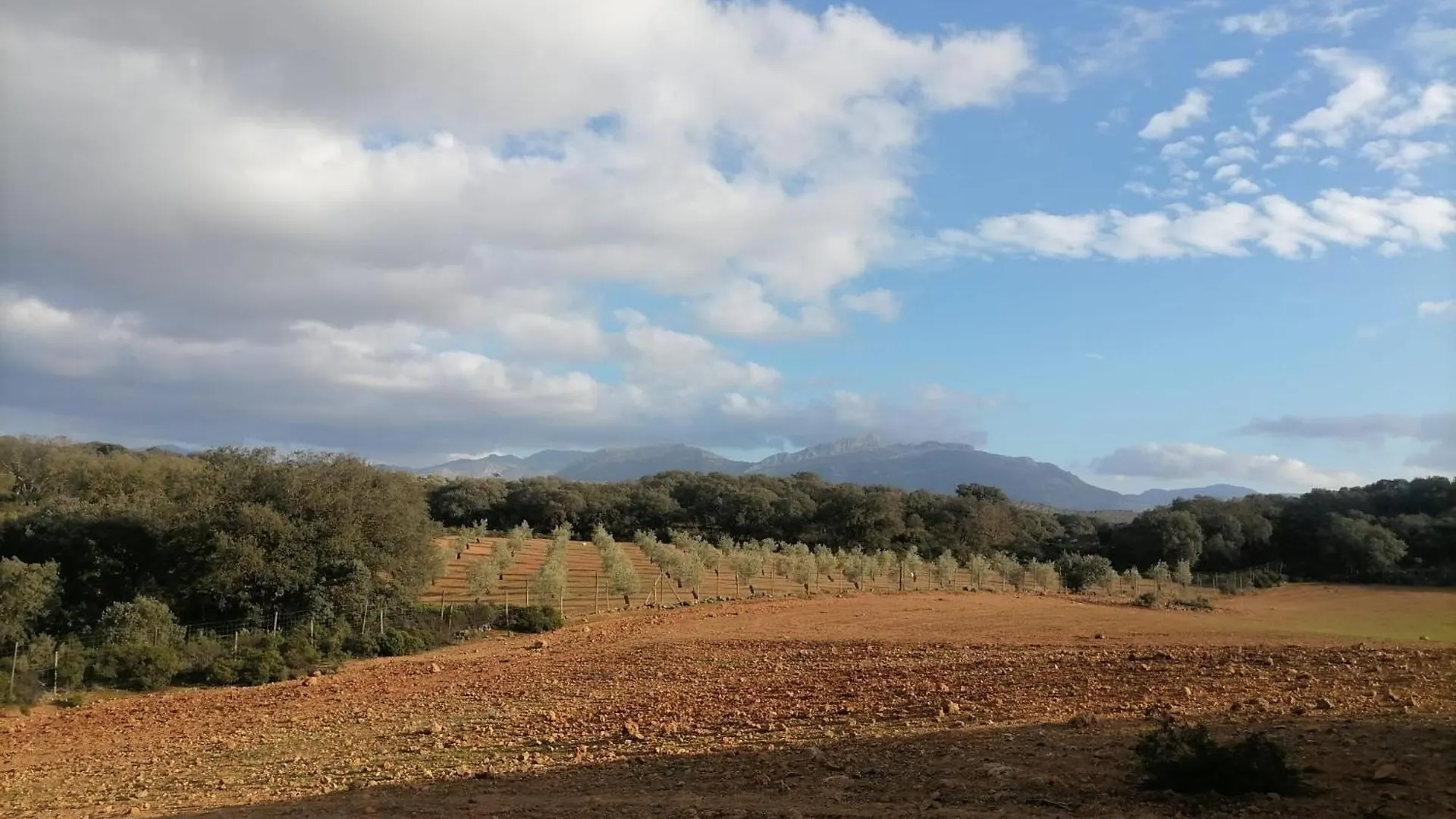 Casa Rural El Contarin - An Andalusian Escape, Archidona, Malaga